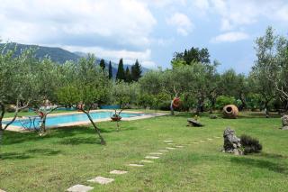 Olive Áno Korakiána - 6