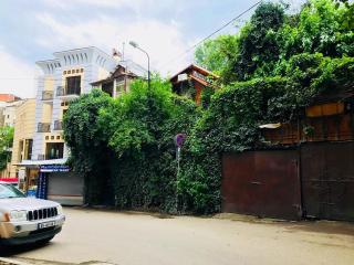 Tania's Home - Tbilisi - 2