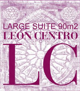LARGE SUITE 90m2 LEÓN CENTRO - 9