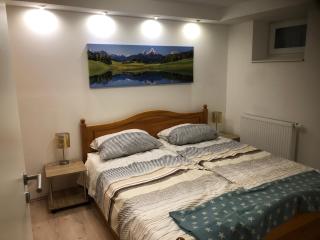 Ferienwohnung Rose - Villingen-Schwenningen - 1