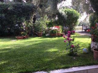 ntinas house - 4