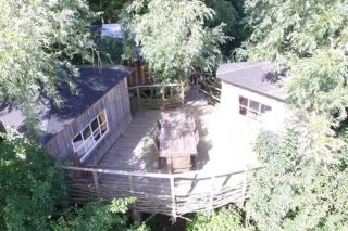Treehouse B&B - Rabjerg - 9