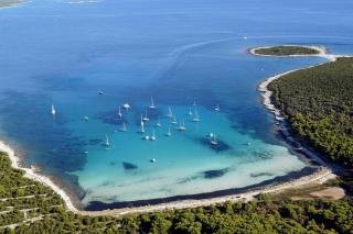 Apartments by the sea Verunic, Dugi otok - 8105 - 1