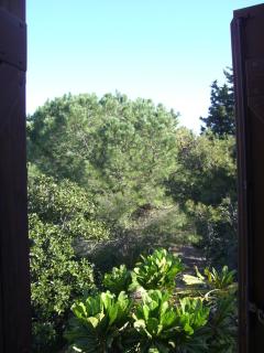 Eurialo Green Suites - Belvedere - 3