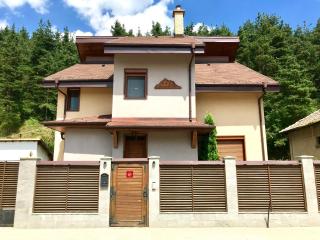 Vila Rila Samokov - Samokov - 0