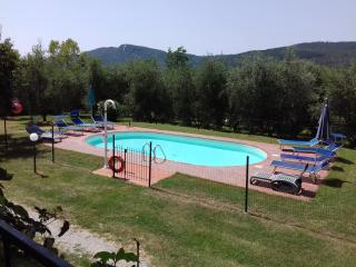 Terrasanta - Santa Fiora - 8