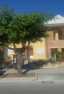 Appartamento Emilia - Cupra Marittima - 6