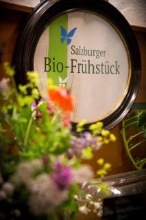 Naturidyll Hotel Hammerschmiede - Anthering - 3