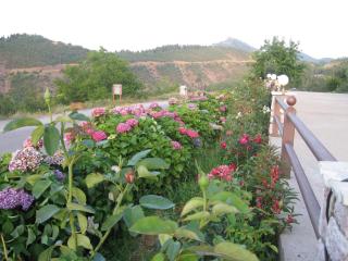 Guesthouse Moucha - 3