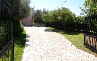 ligustro - Lefkada - 2