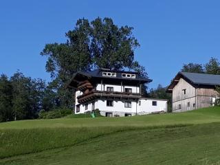 Appartement Wildkogelblick - Neukirchen am Grossvenediger - 0