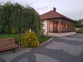 Vesyolaya Rochsha - Kam"jans'ke (Dniprodzeržyns'k) - 8
