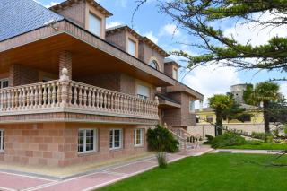 Los Olivos - Nava de la Asunción - 6