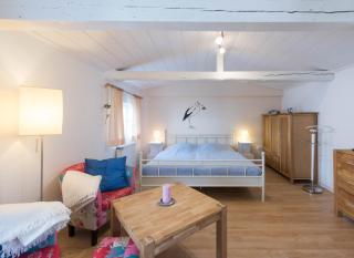 Haus Albatros App. Storchennest - Norderney - 7