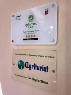 Agriturismo Poggio Tondo - Casa Agresti - 4