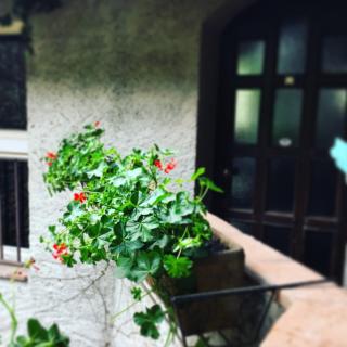 Le Kraken Charme & Relax - 1