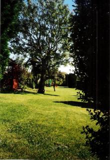 The Old School House Mordington - 6