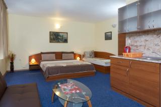 Guest House Plechkarovi - 9