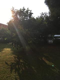Bed and Breakfast Bio Salix - Padua - 2
