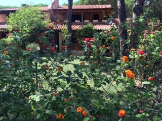 Villa Calaverde Santa Margherita di Pula - Forte Village - 6