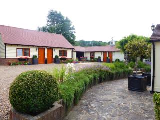 Handywater Cottages - Henley on Thames - 8