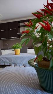 Residenza "il Cacao" - 6