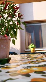 Residenza "il Cacao" - 1