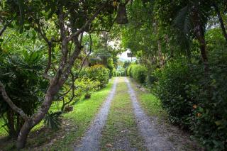 Mae Nai Gardens - Ban Mae Mae - 2