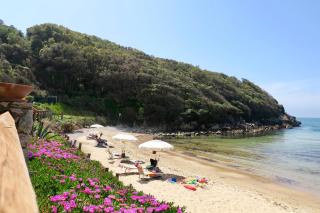 Da Benedetto - Gaeta - 0