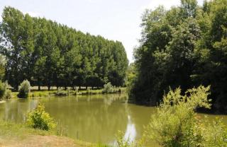 Camping Au Bord de l'Aisne - Guignicourt - 7
