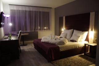 Hotel Fitromax Ajka - 8