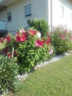 DAHOAM by Fam. FRANZ - 4