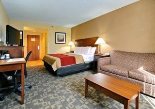 Comfort Inn Thomasville I-85 - 9