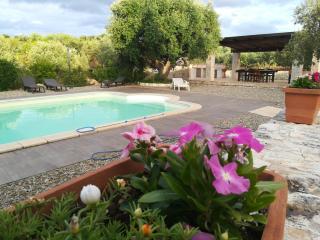 Trulli & Grotte Exclusive House - Castellana Grotte - 1