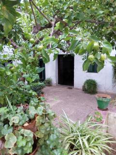Las Jimenas - Higuera de la Sierra - 2
