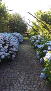 Quinta Drº Amarante - Gondomar - 7