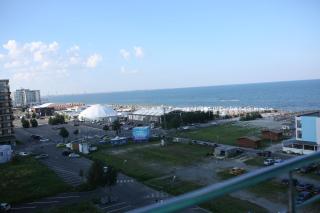 Royal Summer - 1
