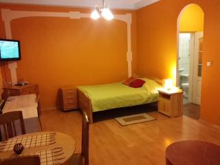 Quiet city centre one room apartment No.29A - Riga - 0