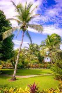 Passion Fruit Lodge - Cahuita - 4