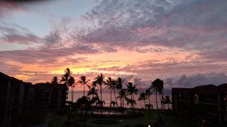 Papakea #H401 - Lahaina - 9