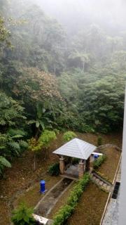 Azizi&Yati Muslim Homestay Cameron Highlands - Cameron Highlands - 1