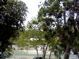 Villa Les Violettes - 2