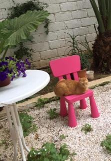 Lilly's Appartments - Atene - 8