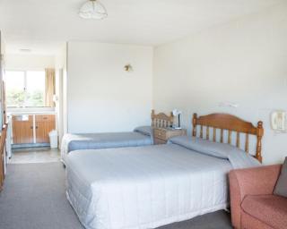 Alpine Motel - Oamaru - 8
