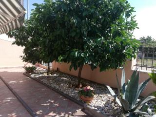 Apartments Merlin - Novigrad Istria - 5