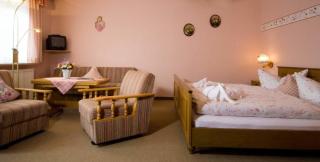 Pension Landhaus Hochfeld - Zwiesel - 7