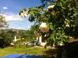 B&B Cà Biocco - Sogliano al Rubicone - 1