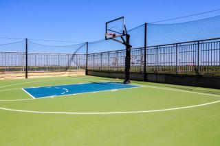 Palisade Palms - Galveston - 2
