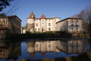 Château des Martinanches - Saint-Dier-dʼAuvergne - 6