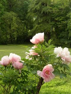 Le Domaine De Pomone - Woinville - 7